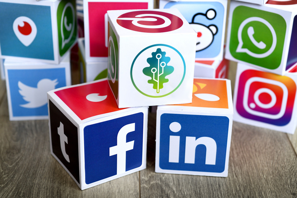 A series of blocks showcasing logos of popular social media sites. One block features the logo of Greenleaf Media, a digital marketing agency with expert social media managers.